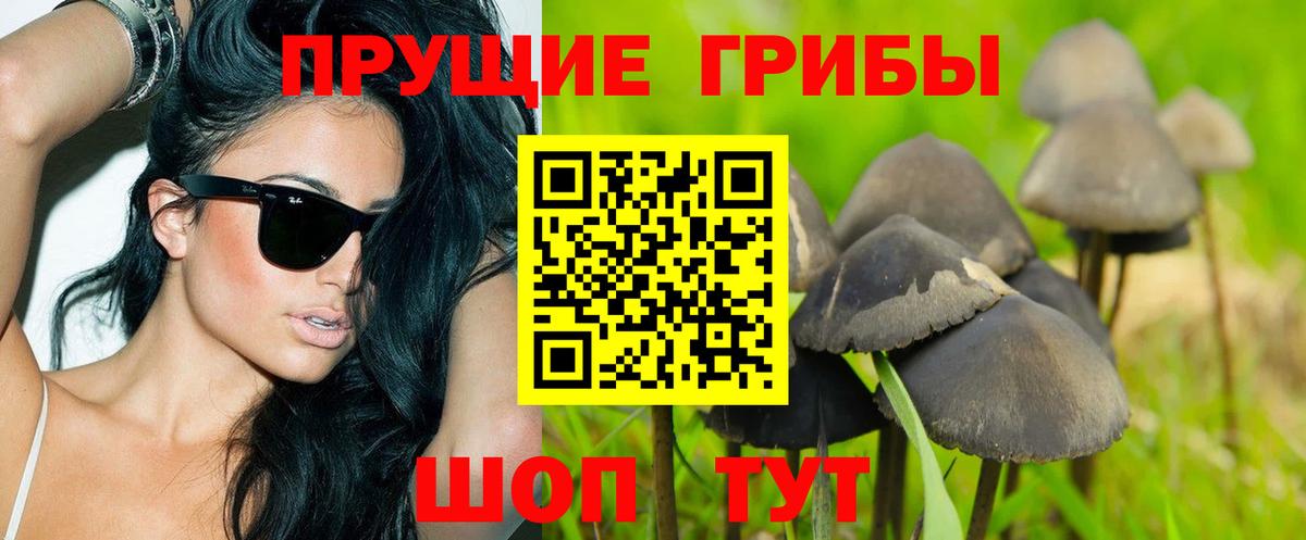 Луховицы  Галлюциногенные грибы мицелий  Вход с VPN  Галлюциногенные грибы Cubensis 